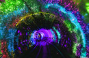 ¶ĩֵĻ׵˭