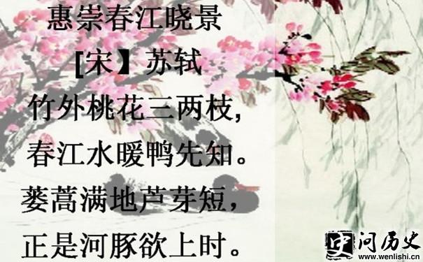 ݳ紺 