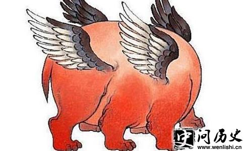 ۽
