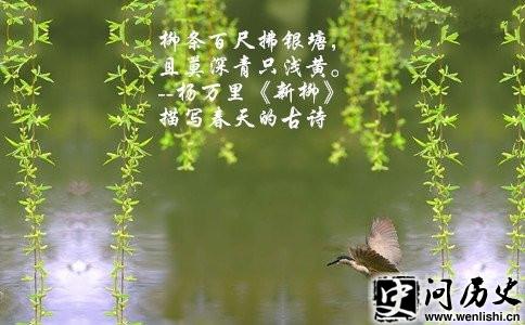 仭ͼ