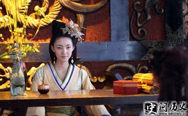 王丽坤版慎夫人 王丽坤版慎夫人