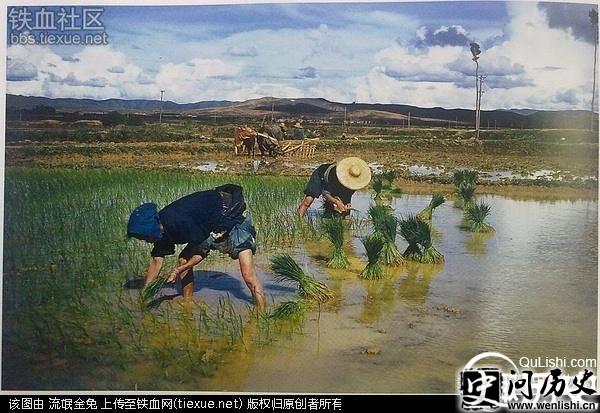 美国飞虎队拍摄的中国早期彩色照片