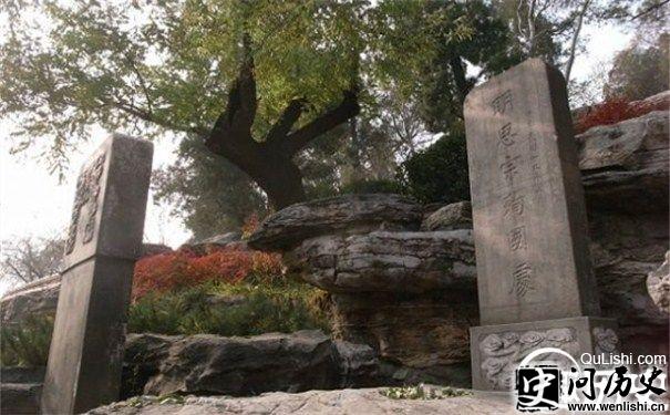 崇祯帝上吊的树图片