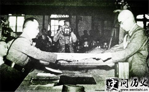 ձͶ