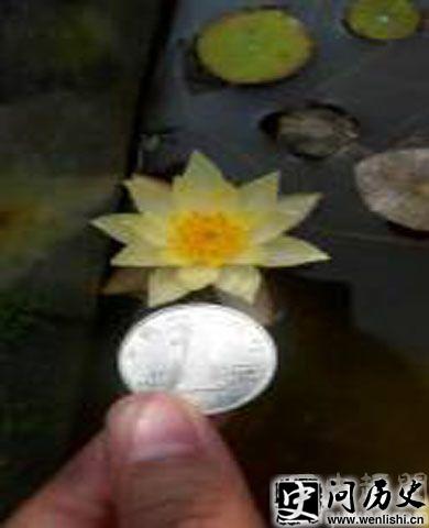 ˯