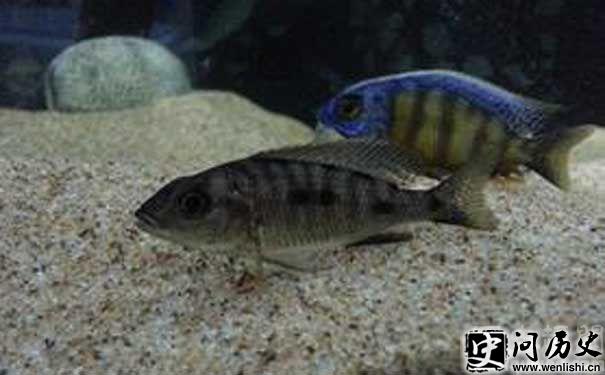 6bG85piv5oCO5LmI552h6KeJ55qE