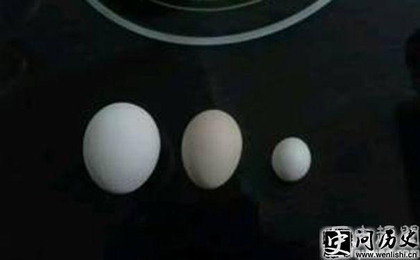 ĸºɫ