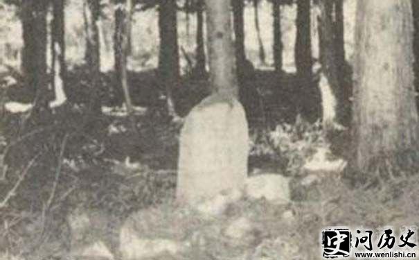 ţ֮