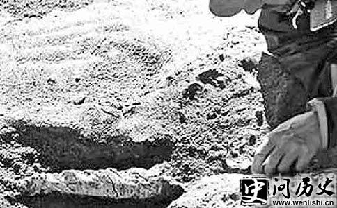 122161585_21n.jpg