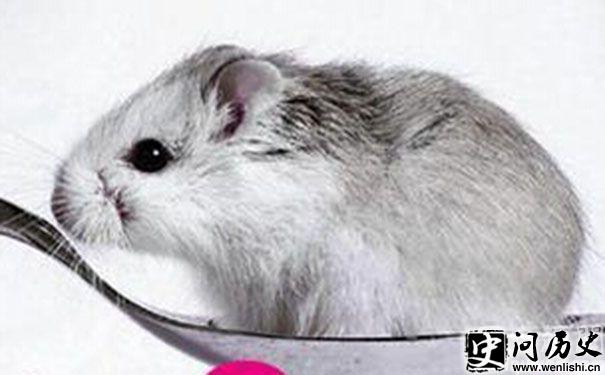 Сļ