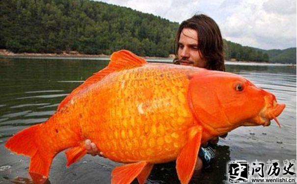 Ľ