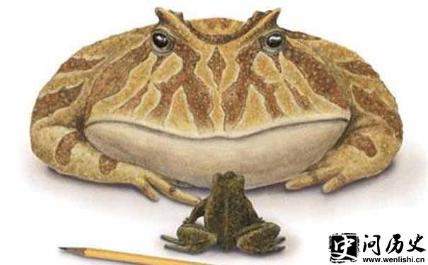 ħ