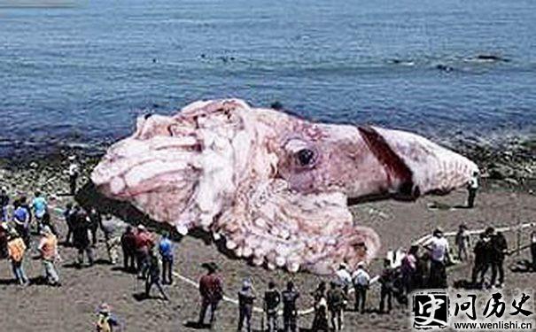 ж