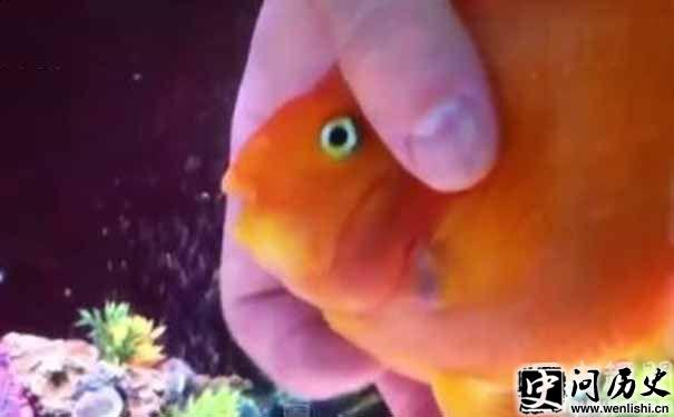 Ѫ