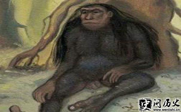 СŹδ֮