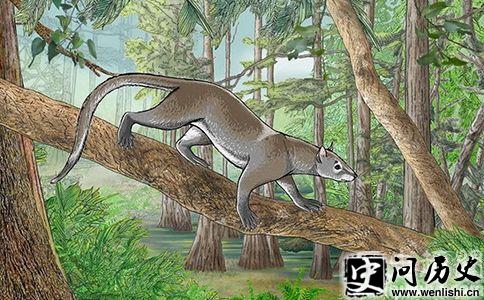 Lyrarapax unguispinus