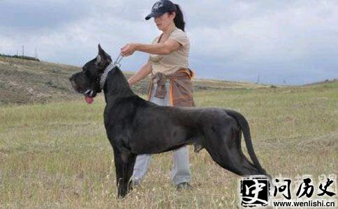 5aSn5Li554qs
