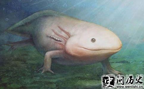 ˮѪ