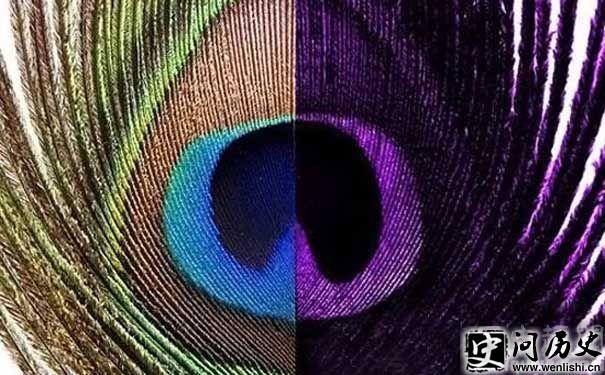 Ӿ