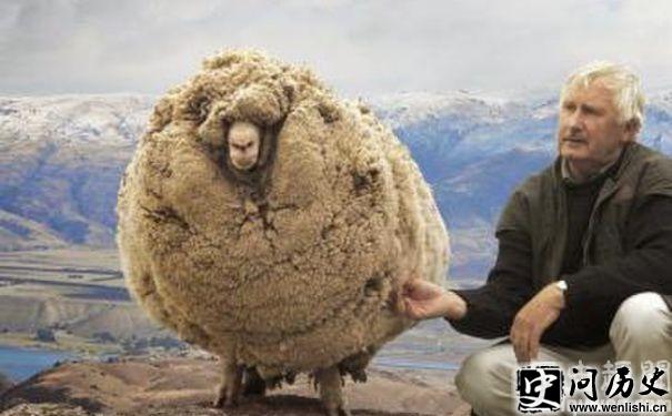 5ûë