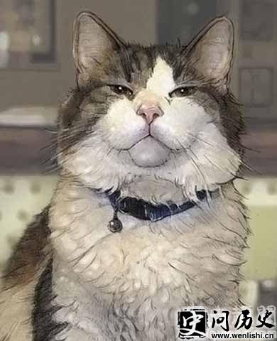 èҽ