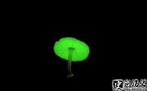 ӫĢ