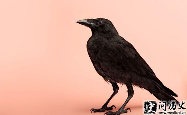 ѻ