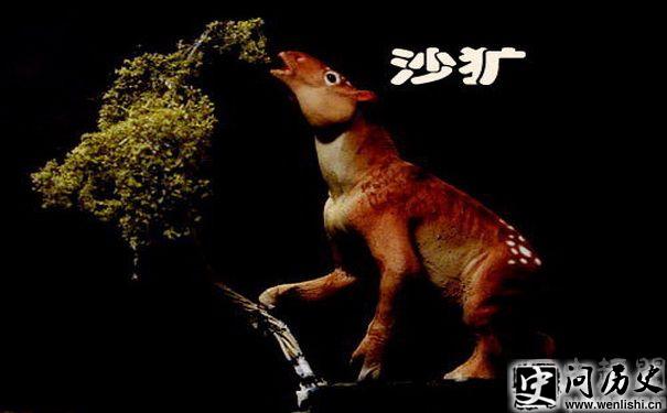 ɳ