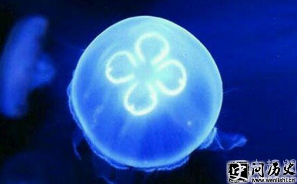 ˮĸ