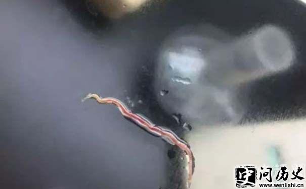 Գ