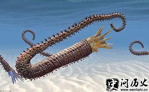 3DɨDissimilites intermedius