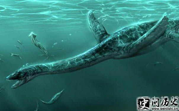 ߾(Plesiosaur)