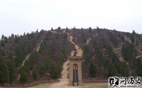 ï