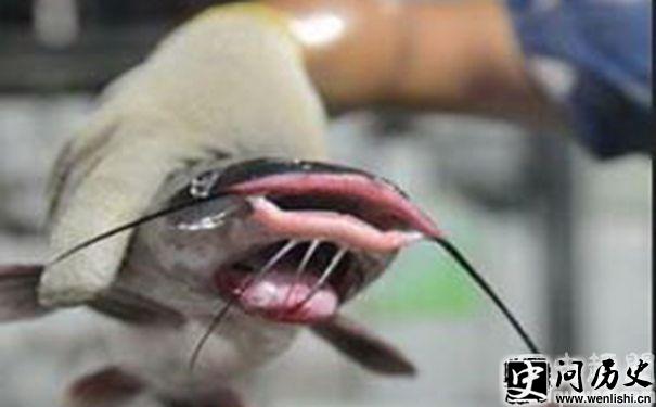 ӵ͵Ĺ
