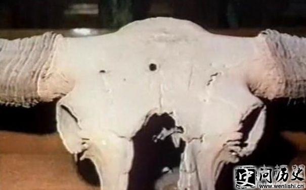 ʷǰͷӵ
