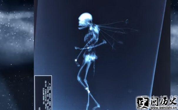 С