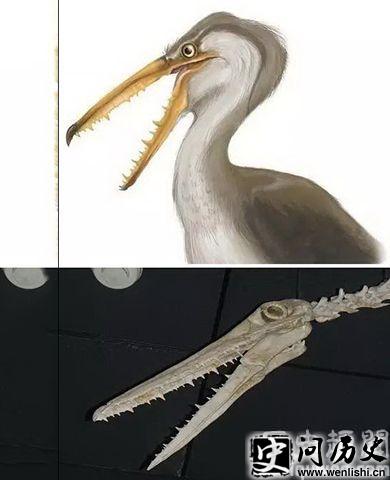Ҳ