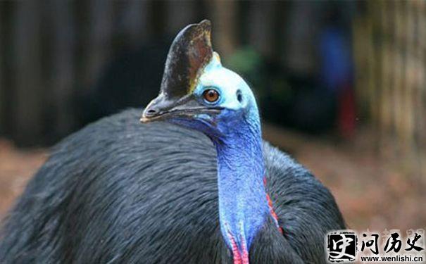 Ŀ
