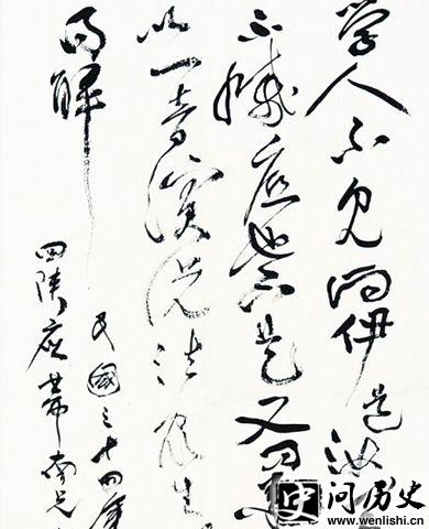 鸦鷨