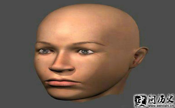 ͷ­ʶ