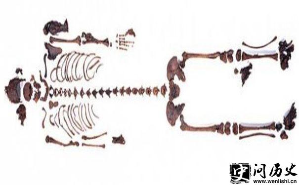 ľʬ