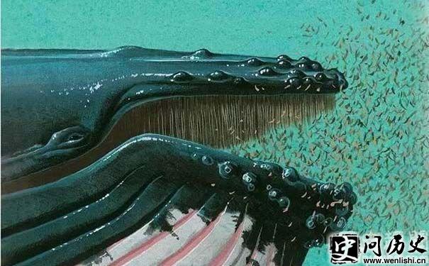 Ϊλ᳤