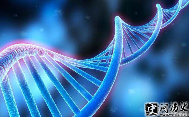 DNA