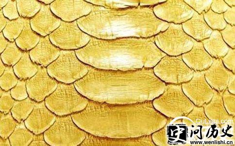 “龙皮”
