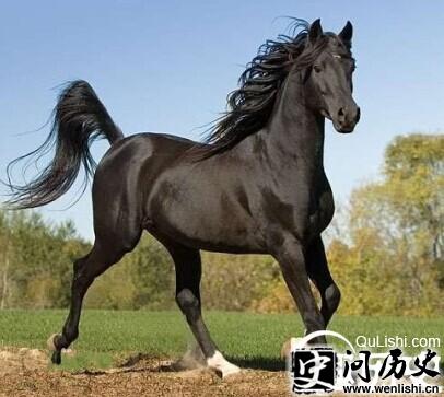 Ѫ