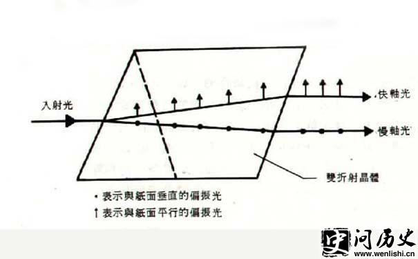 ˫
