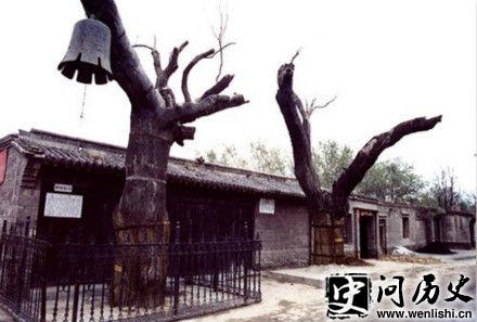 عĻ7000-wenlishi.cnʷ