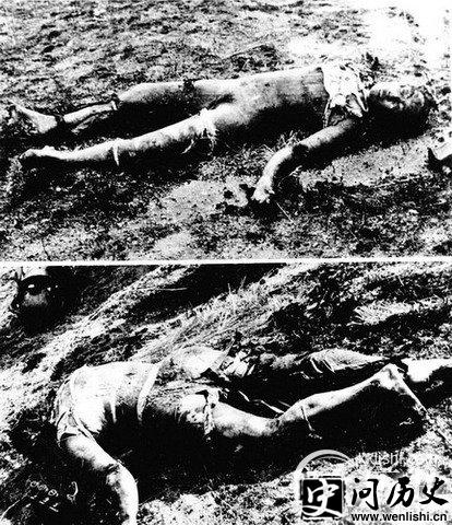913事件揭秘:是谁干掉了林彪的“256专机”
