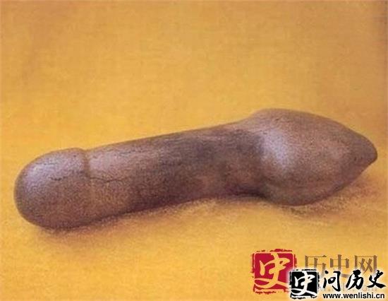 (ͼ)ŴѸйУߡԲ͵