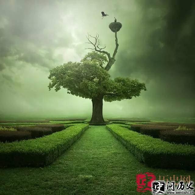 下轮台
